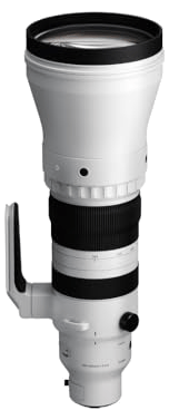 Sigma 300-600mm F4 DG OS Sports