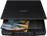 Epson Perfection V19 II