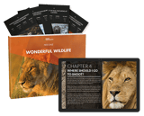 Wonderful Wildlife