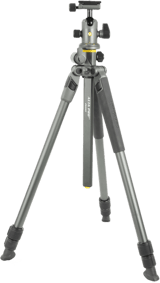Vanguard Alta Pro 2+ 263AB 100