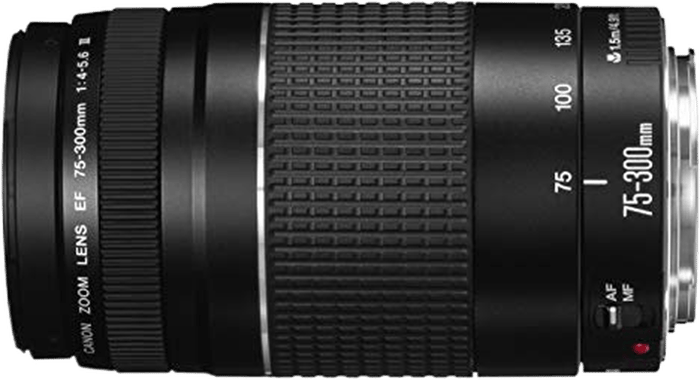Canon EF 75-300mm F/4-5.6 III USM