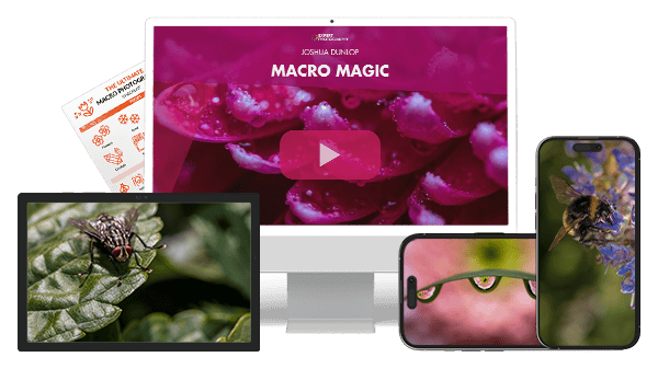 Macro Magic
