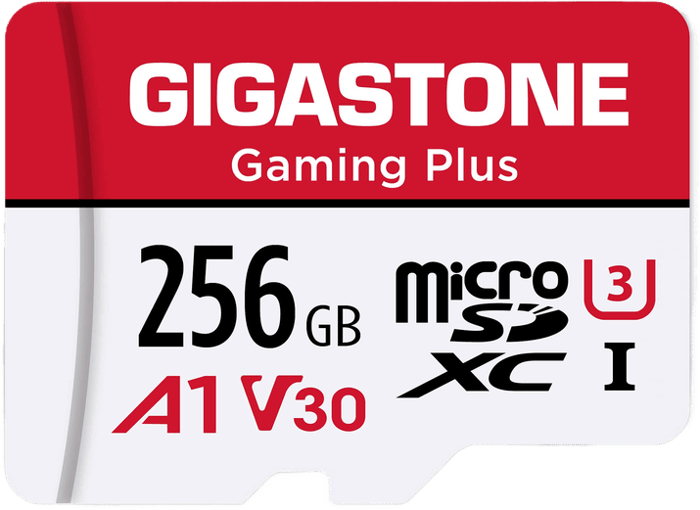 Gigastone 256GB 4K Camera Pro Micro SD Card