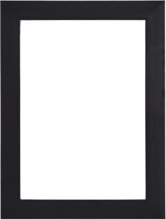 Amazon Basics Photo Picture Frame, 4x6in