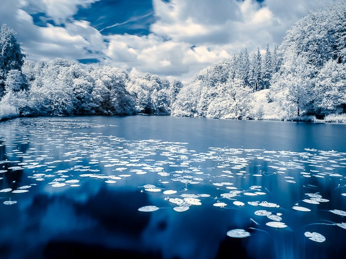 False color infrared photo of the pond in the 