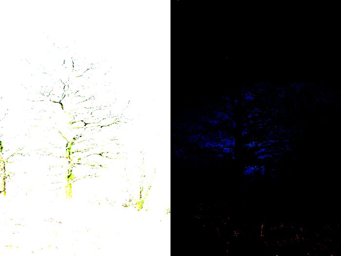 Black and white slider highlights in the Lightroom Develop Module