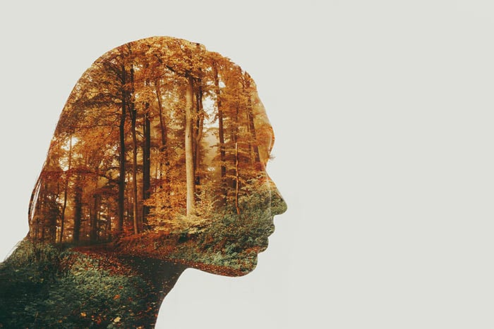 A double-exposure image using the profile silhouette of a woman and a forest photo, on a white background