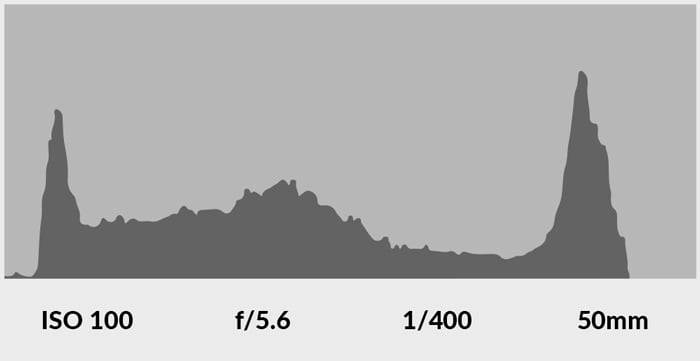 4 screenshot of a camera histogram