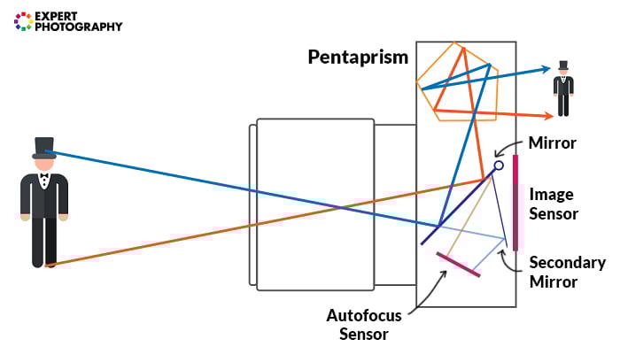 Illustration showing how a DSLR camera works
