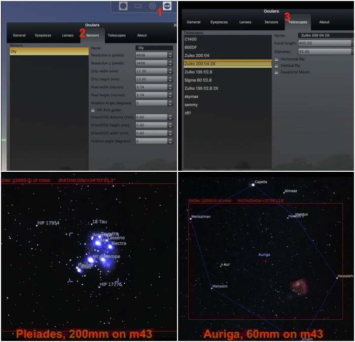 An example of night photography of starry forest landscape