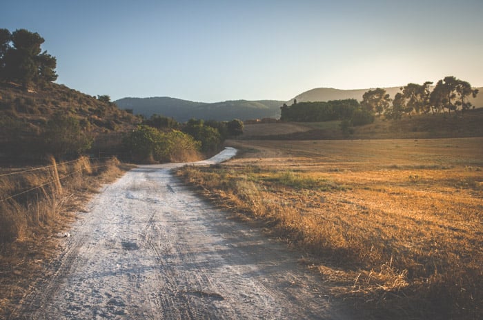 An image of a road in a calm countryside location at golden hour