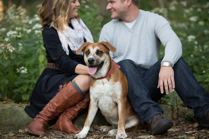 Outdoor engagement photo showing a couple sitting down in the park with their dog and smiling at each other
