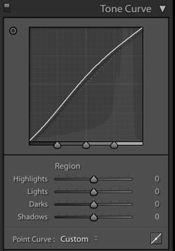 A screenshot of region curve in Lightroom