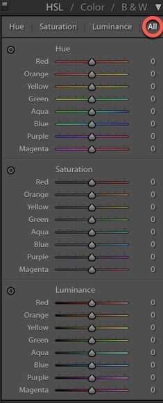 Screenshot of Lightroom interface with toggles