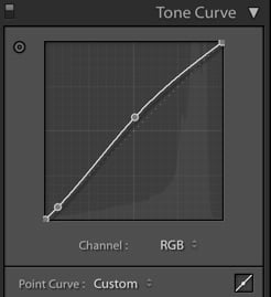 Lightroom Tonal Curve Point
