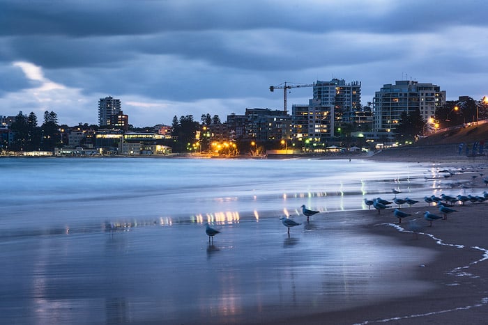Evening seascape with a flock of seagulls near the shore, a cityscape in the background reflected in the sea.