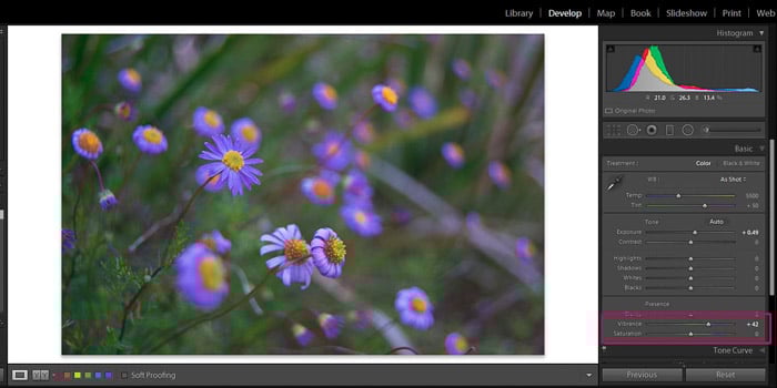 Screenshot of Adobe Lightroom editing flower photography - Lightroom editing vibrance