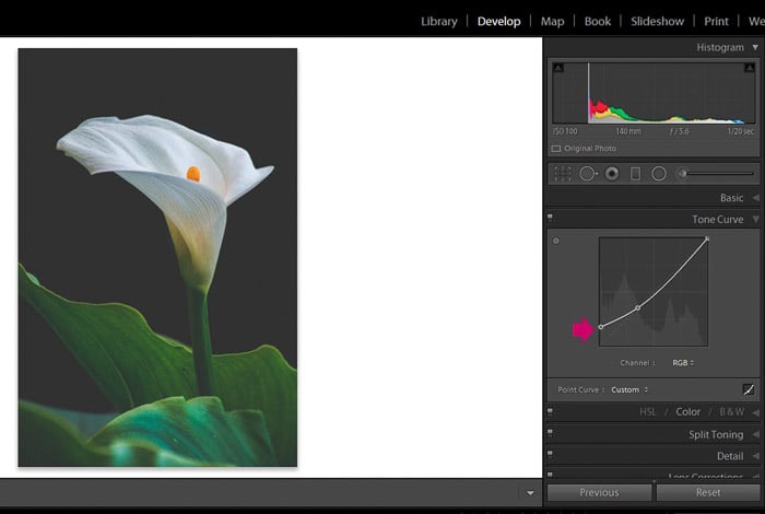 Screenshot of Adobe Lightroom editing flower photography - Lightroom editing view modes