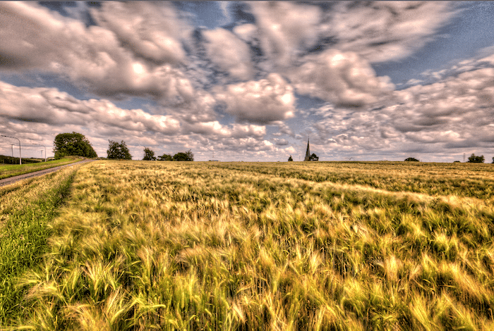 Black puffy clouds on a sunny afternoon over fields. Over processed HDR photography.
