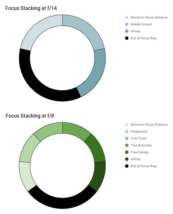 A focus stacking diagram for forest photography