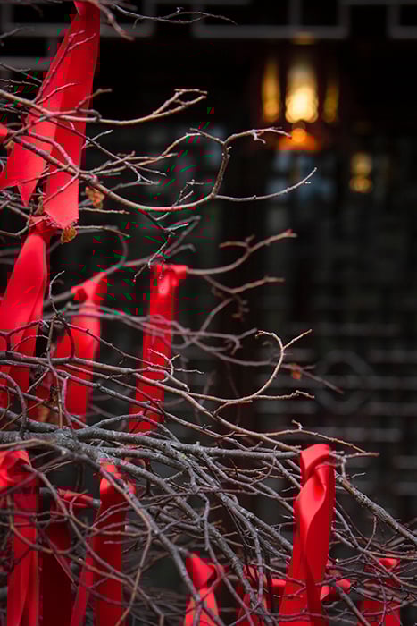 Red ribbons tied to a leafless tree on a dull, grey day.