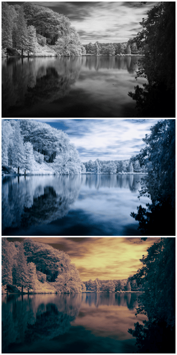 Triptych showing the same photo with three different styles of infrared photography editing