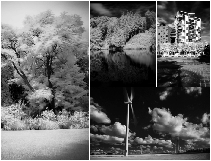 A grid showing different infrared landscape photography shots