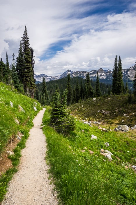 A hiking path through a grassy landscape with mountains in the background