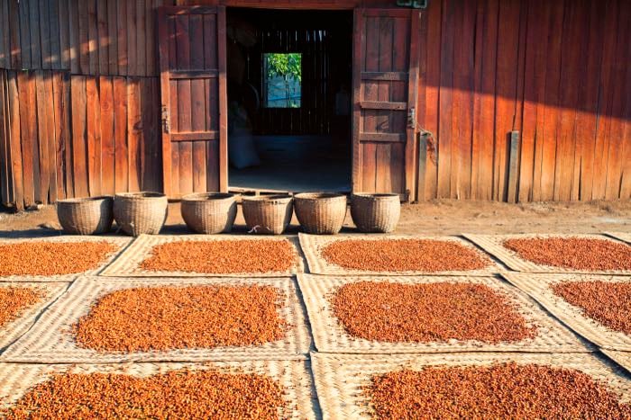 A warm and saturated travel photography image