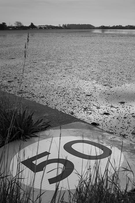 The tired road sign with a red filter applied and increased sharpness and contrast in monochrome in-camera settings. 50mm, ISO100, 1/320sec, F/9.