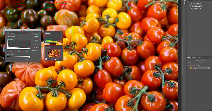 editing a photo of a pile of golden orange and red tomatoes