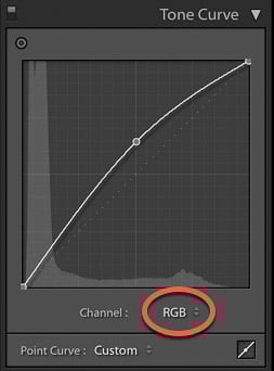 screenshot of adjusting the tone curve of an image on Lightroom for product photography editing
