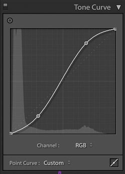 screenshot of adjusting the tone curve of an image on Lightroom for product photography editing