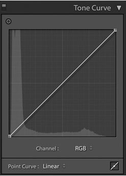 screenshot of adjusting the tone curve of an image on Lightroom for product photography editing