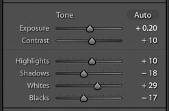 screenshot of adjusting the tone of an image on Lightroom for editing product photography