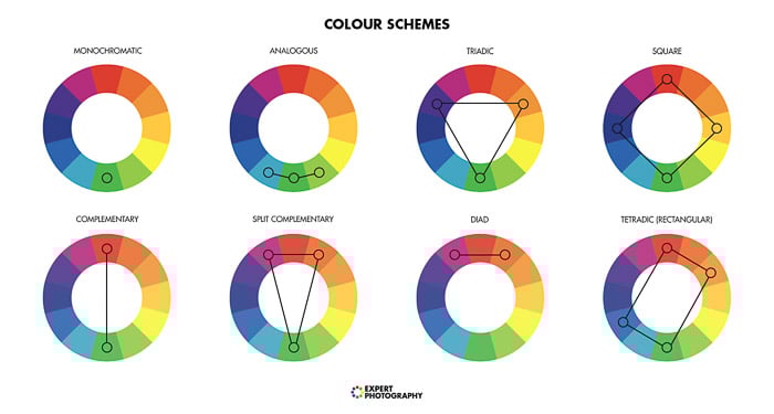 A diagram explaining color theory for better food photos