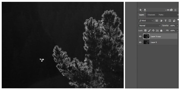 A screenshot of opening a raw photograph in Photoshop before using the patch tool