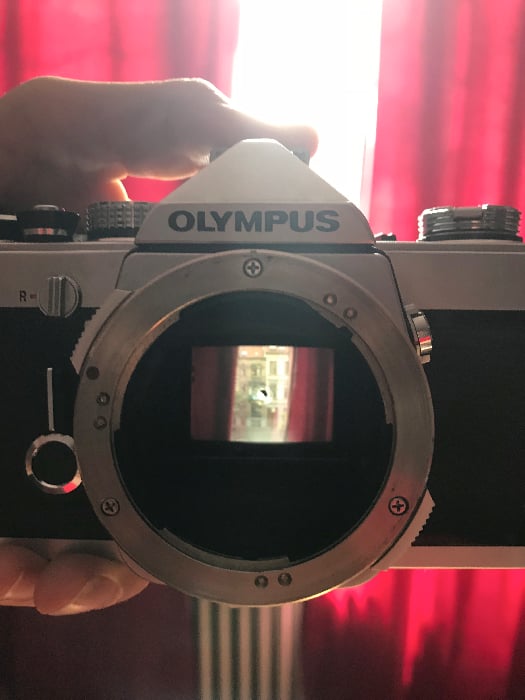 Light from the optical viewfinder of my OM-1 forms this image on the mirror.