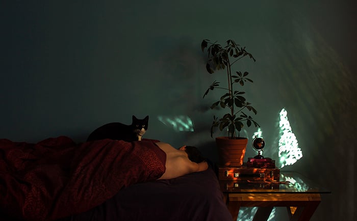 A cat sitting on a person lying in bed with a plant beside them by fine art photographer Lucy Michaela
