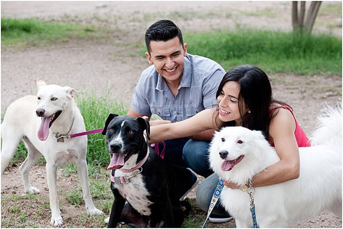 A relaxed and natural portrait of a couple posing outdoors with three dogs - people photography