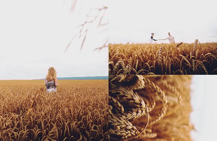 A triptych photography example featuring three views of a person posing in a cornfield