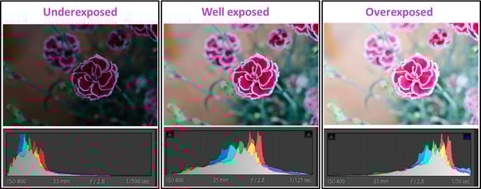 Three flower images taken with different exposure settings.