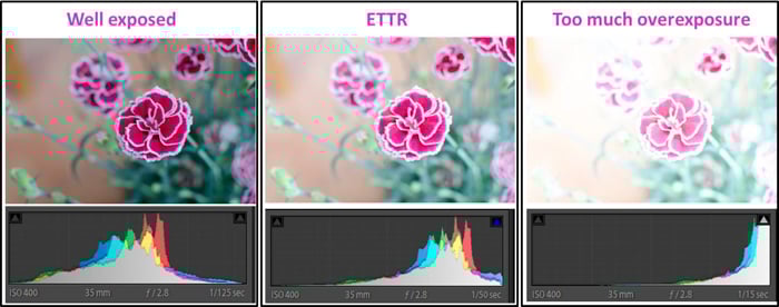 A triptych of bringing down an overexposed pictured of a pink flower - ettr photography