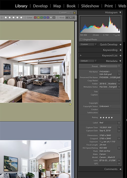 A screenshot showing the metadata and keywords of photos in Lightroom