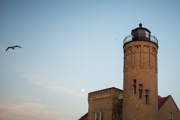 a photo of a bird flying by a stone tower, what is dynamic range in photography