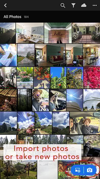 A screenshot of the Lightroom mobile gallery
