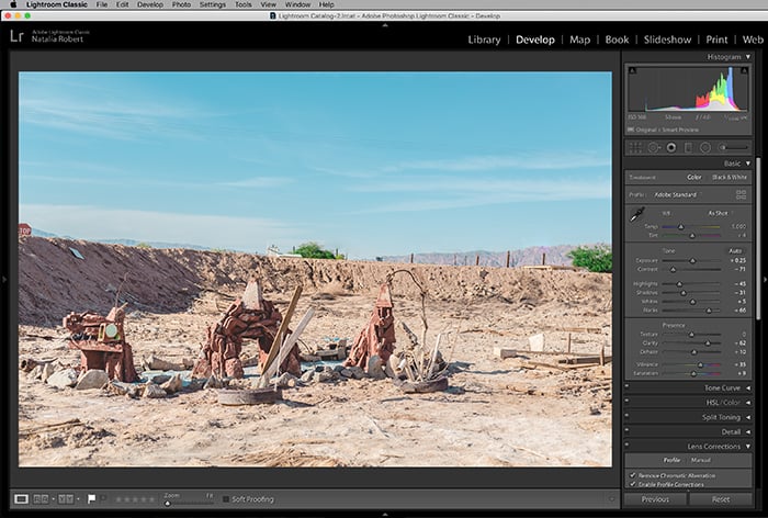 A screenshot showing how to use the spot removal tool in Lightroom