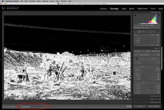 A screenshot showing how to use the spot removal tool in Lightroom