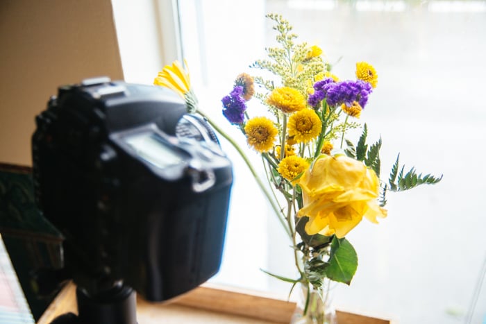 a DSLR set up to take a macro shot of a bunch of flowers on a window sill - macro photography lighting tips