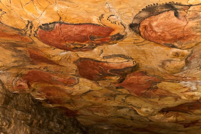 Photo of a cave painting in the Altamira caves depicting bisons